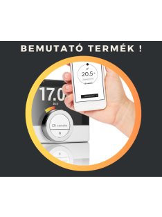 Remeha eTwist okostermosztát