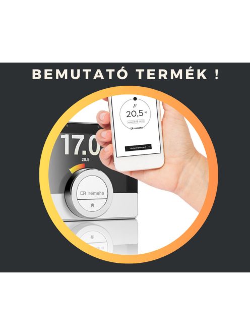 Remeha eTwist okostermosztát
